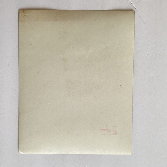 c1970 Original Pink Azalea Steven Willhite Glen Ellen IL Color Photograph - Picture 3 of 6